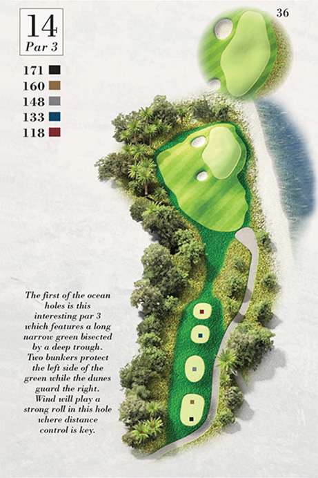 Map of Hole 14 of Turtle Point Golf Course