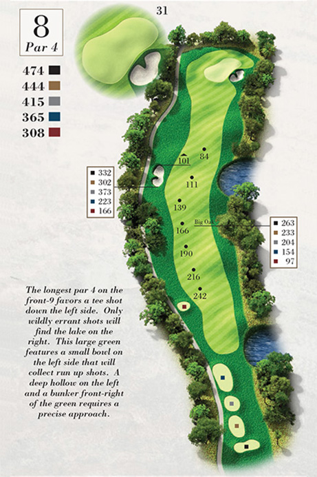 Map of Hole 8 of Turtle Point Golf Course