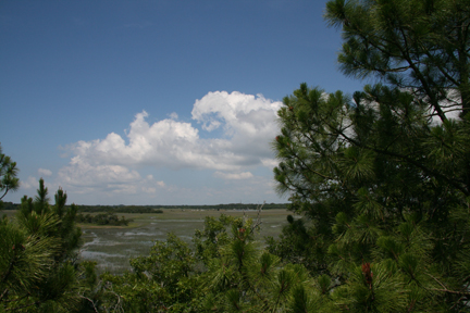 View from Marsh Tower behind No. 6 at Cougar Point
