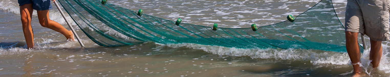 Ocean Seining - Kiawah Island Golf Resort