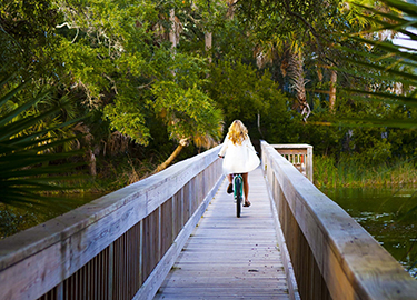 wildlife in wetlands