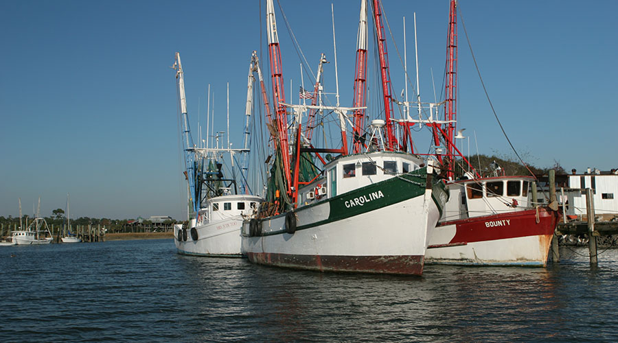 Charleston boats