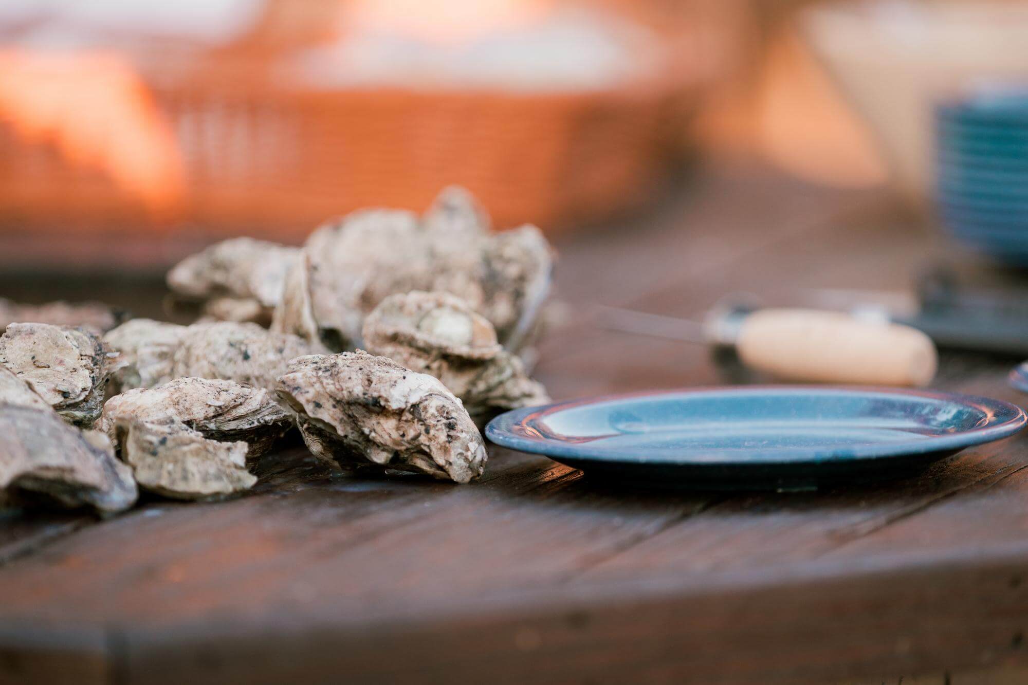 Mingo Point Oyster Roast Kiawah Island Golf Resort