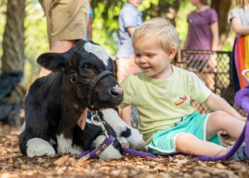 Petting zoo