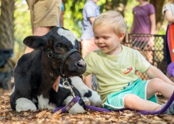 Petting zoo