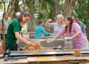 Staff building oyster cages for living shoreline