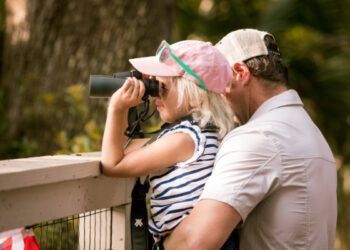 Birding for Beginners