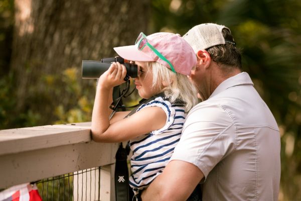 Birding for Beginners