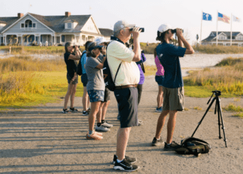 Ocean Course Birding