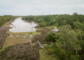 Blue Heron Pond Kiawah Island