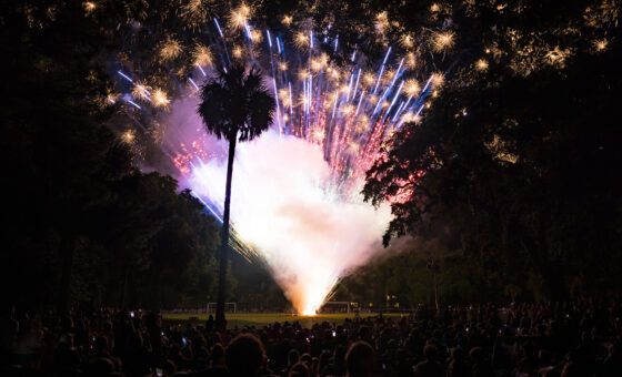 Fireworks in Night Heron Park