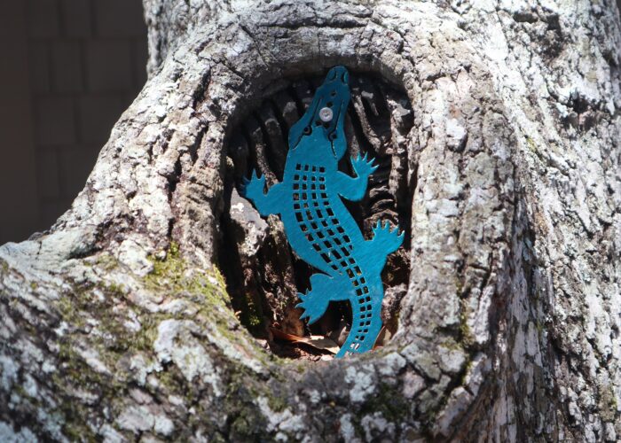 featured image
