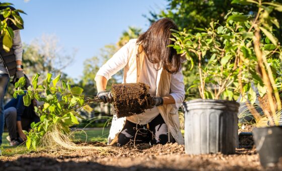 Conservancy Sustainability
