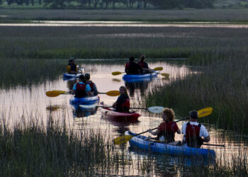 kayak