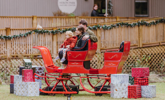 Family in Sleigh
