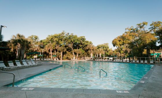 Night Heron Family Pool