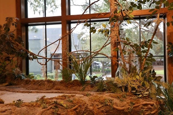 Nature Center at The Treehouse Activity Center at Kiawah Island Golf Resort