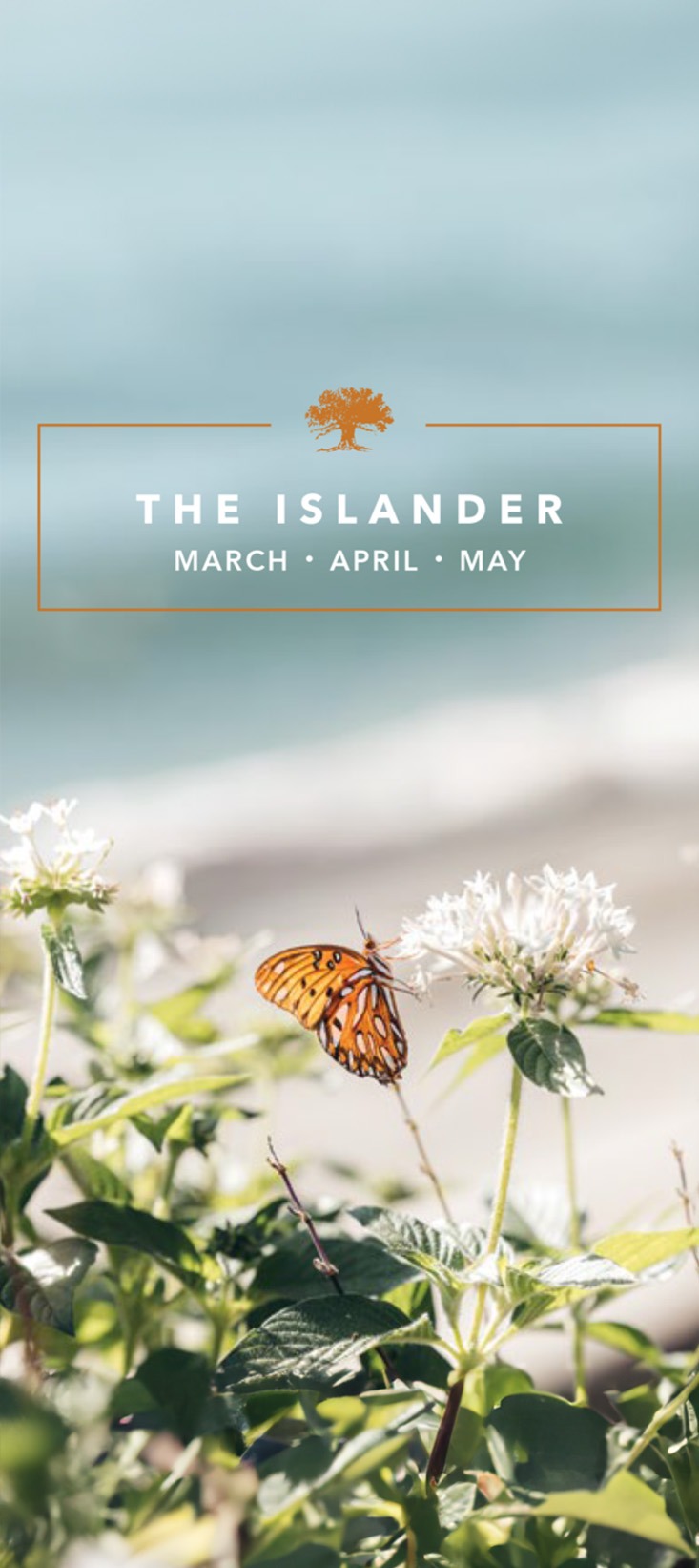 The Islander March 2026